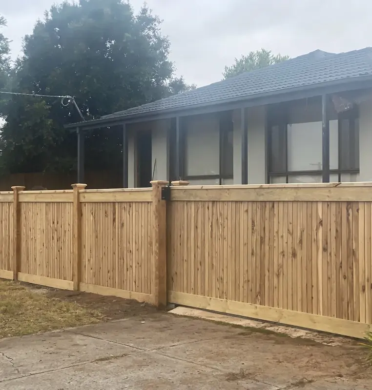 paling fence unpainted