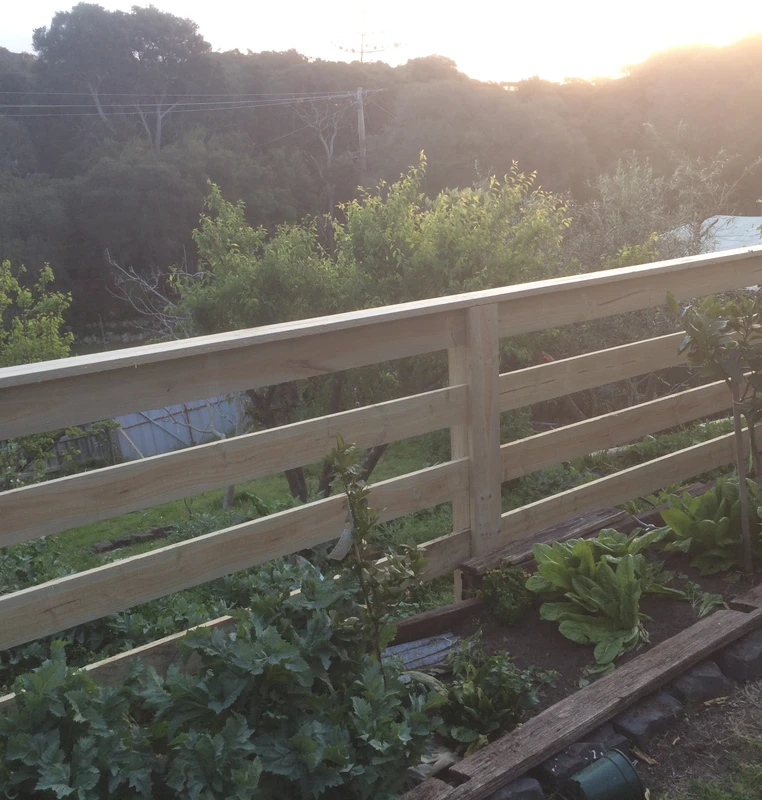 paling fence unpainted