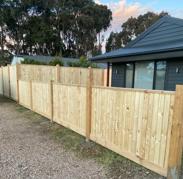 Paling fence