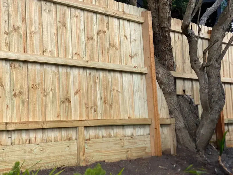 Featured paling fence