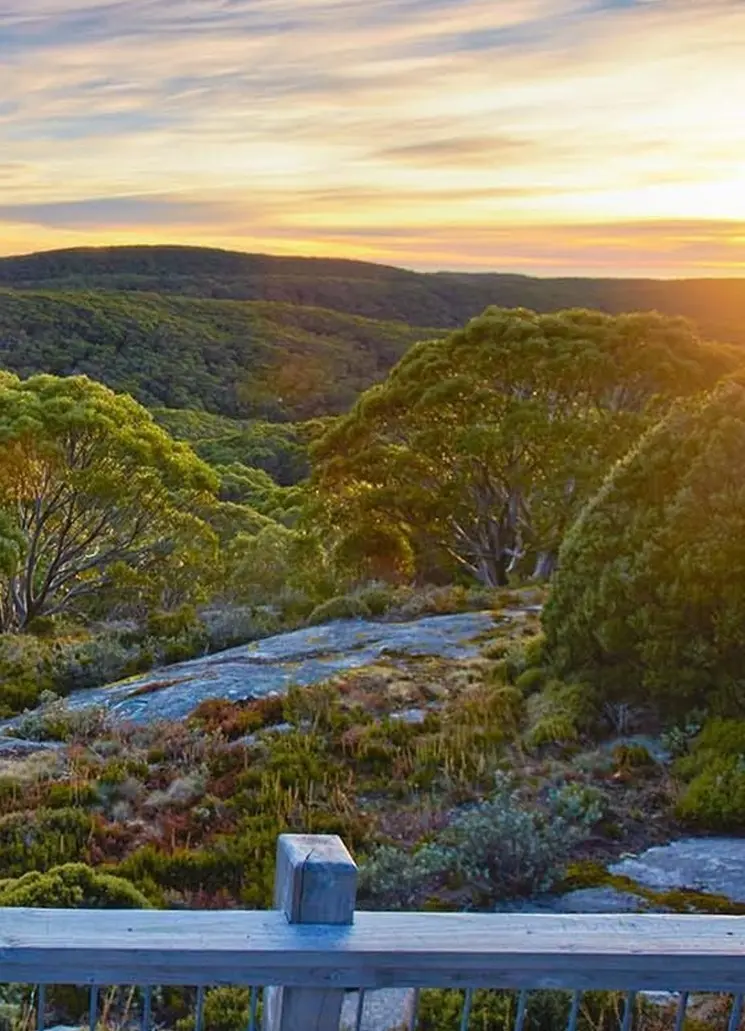 Mt Baw Baw Sumit Walk